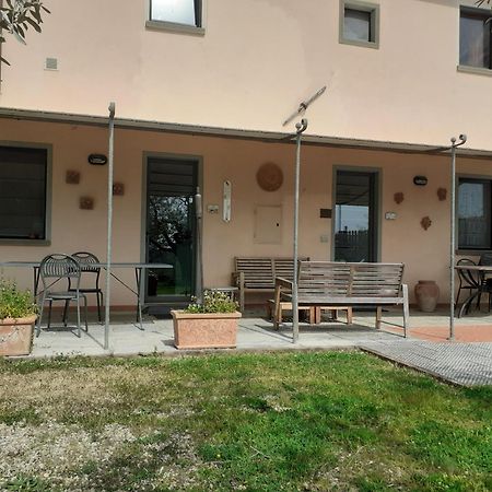 Agriturismo Podere Zollaio วินชี ภายนอก รูปภาพ