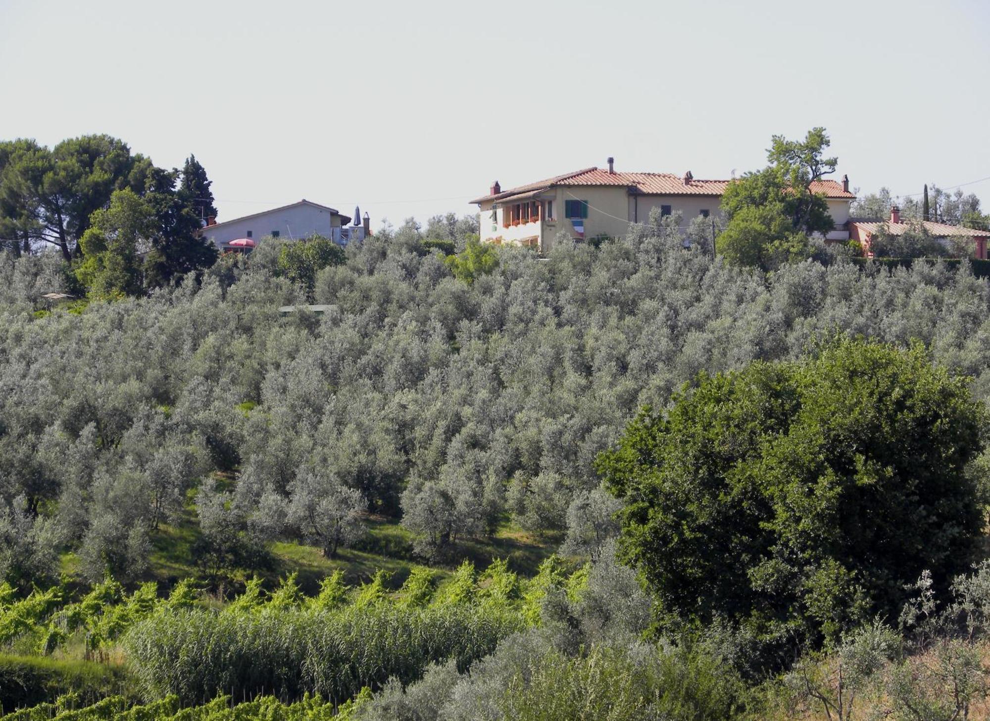 Agriturismo Podere Zollaio วินชี ห้อง รูปภาพ